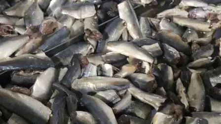 Deliciosa sardinha de peixe enlatada em óleo vegetal da China